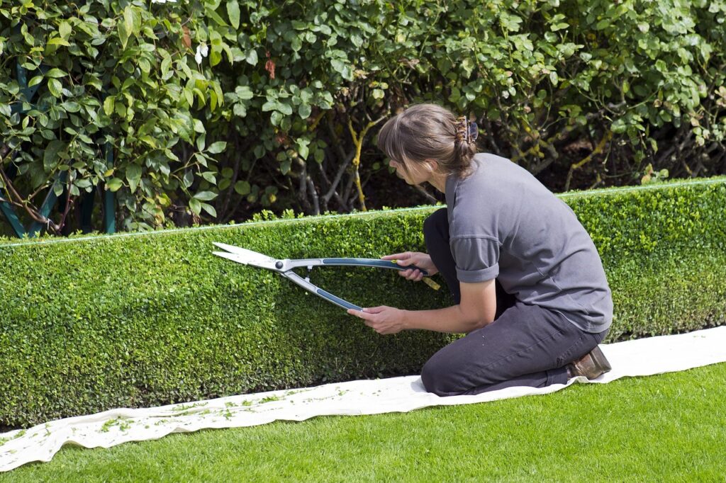 Como a Jardinagem Pode Transformar a aparência do Ambiente?