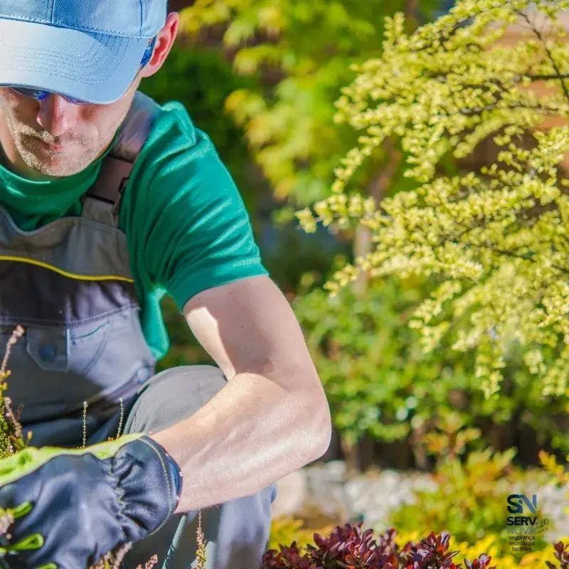 empresas-manutencao-jardinagem-02